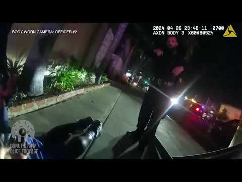 Donut's 24/7 Raw Police Footage