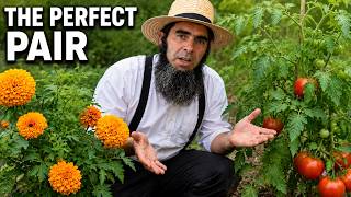 Forgotten Planting Combinations That Still Work Today