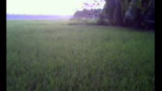 Download lagu kp47 mp3