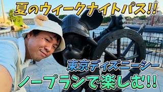 夏のウィークナイトパスポートで東京ディズニーシーを満喫！