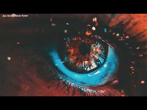 Ben Nicky & Technikore ft. Karra - Never Knew