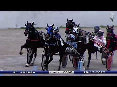 Aversa trotto 10 Dicembre 2022 - 5° Corsa
