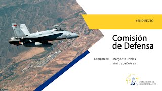 Comisi贸n de Defensa (04/05/2022)