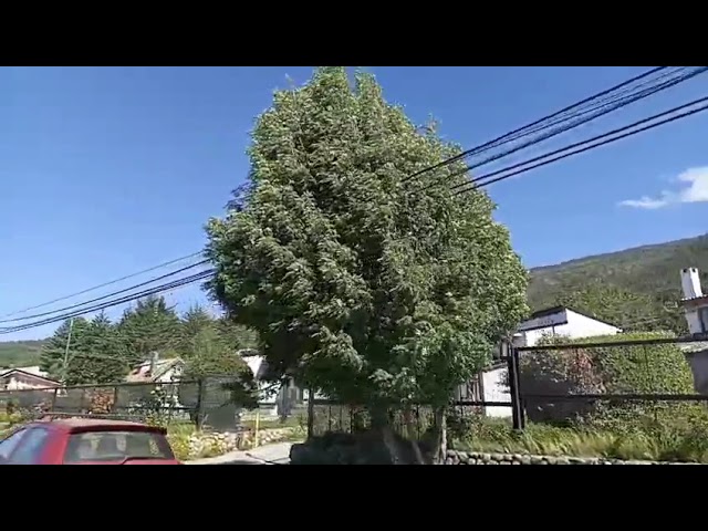 youtube video id=o_b4CdiWcQY