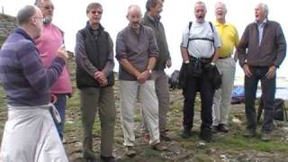 Voicemale Should I Should I not