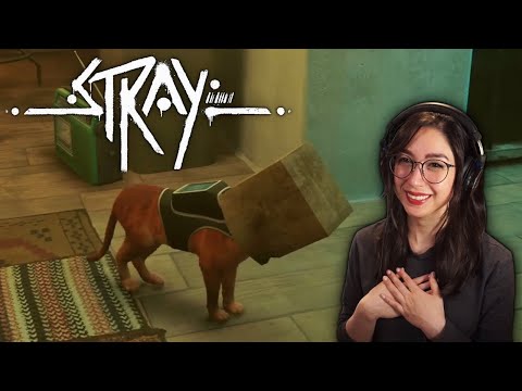 Cats Gonna Cat! | Stray - Part 2