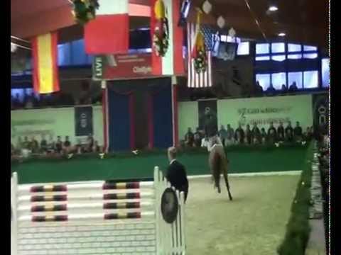 DSP ARALDIK v. Askari x Heraldik xx - Amethyst