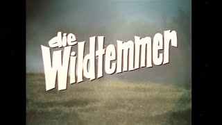 Die wildtemmer (1972) (SA Movie) (Beeld verhelder)