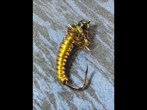 Maailman helpoimman ja todella tehokkaan larvan sidonta