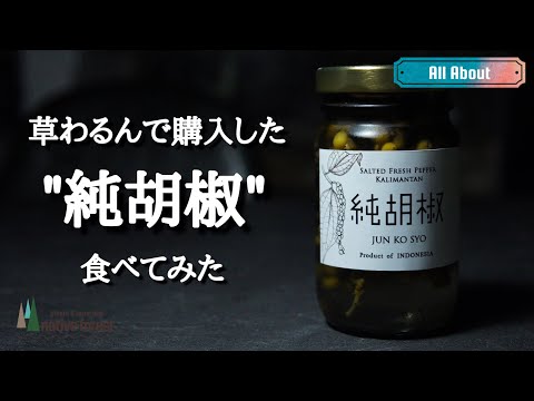 コショウ植物、黒コショウ 植物