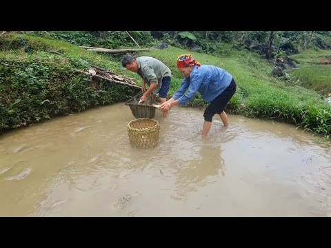 highland life, fishing for firewood daily life | Life in the tropics - Ep. 9