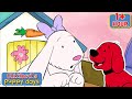 The Best Of Daffodil The Bunny Full Episodes Cartoons For Kids Clifford S Puppy Days
