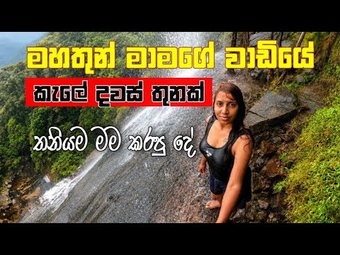 තනියම කැලේ ජීවත් වෙන මහතුන් මාමාගේ වාඩියේ මම කරපු දේවල් | No Signal & Alone in the Wild | KELLA 🇱🇰 