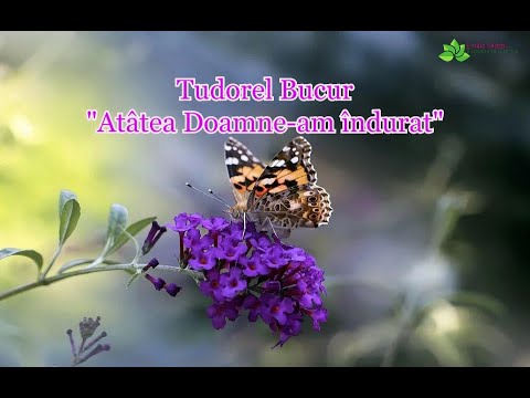 Tudorel Bucur “Atâtea Doamne am îndurat”