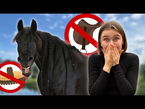 KEIN HALFTER, KEINE REGELN 🚫 1 Tag ohne Equipment