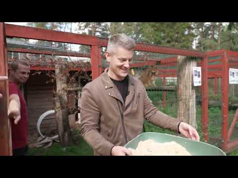 ÕHTU! | Jüri ja Robert puhastasid kiskjate puure