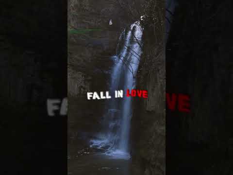 Montell Fish || Fall in Love with You (#lyrics )