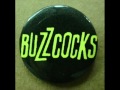 Buzzcocks - Friends