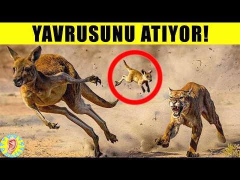 The 10 Worst Parents in the Animal Kingdom