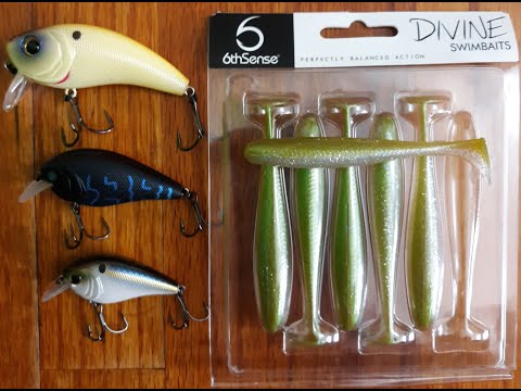 August 2020 6th Sense Super 6 Sack