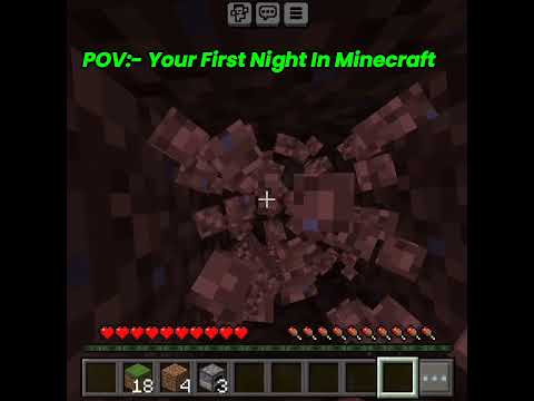 First Night in Minecraft- Ultimate Survival Tips!