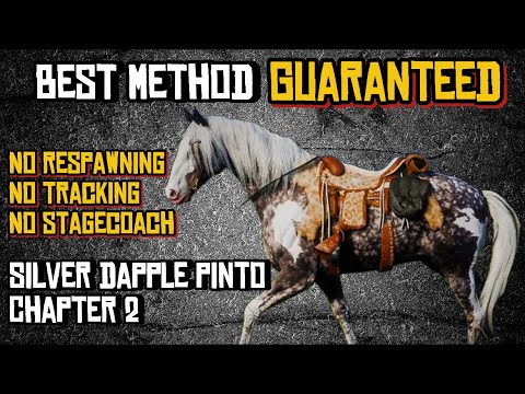 Best Technique To Catch The Fastest Horse: A Comprehensive Guide: Top Speed Race Horse