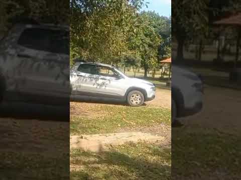 Sítio à Venda com 1.5 Alqueires em Guapirama - PR📌 $r450mil