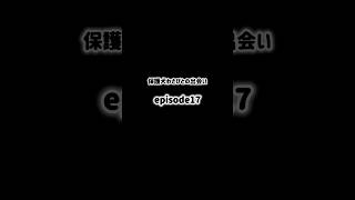保護犬わさびとの出会い▶︎▶︎episode17（Day13 後編）#保護犬#元野犬#わさび