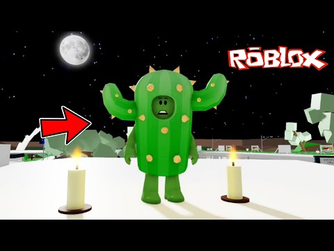 CACTUS LIVE ROBLOX !