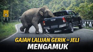 Download lagu CEMAS ‼️ GAJAH LIAR 'NAIK MINYAK' KEJAR KENDERAAN DI LEBUHRAYA GERIK - JELI mp3