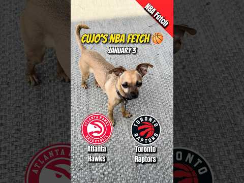 Cujo’s NBA Fetch | Atlanta Hawks at Toronto Raptors 🐕 01-03-2026 NBA Basketball