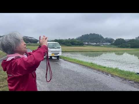 【チャレンジ農園2025】田植え
