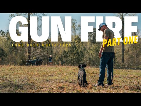 Gunfire Introduction With Your Duck Dog - Part 1