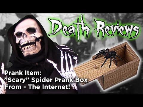 Death Reviews: "Scary" Spider Prank Box
