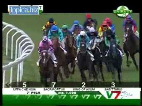 Premio Scuola Allievi San Rossore-Ribot Cup 2011 (HANDICAP)