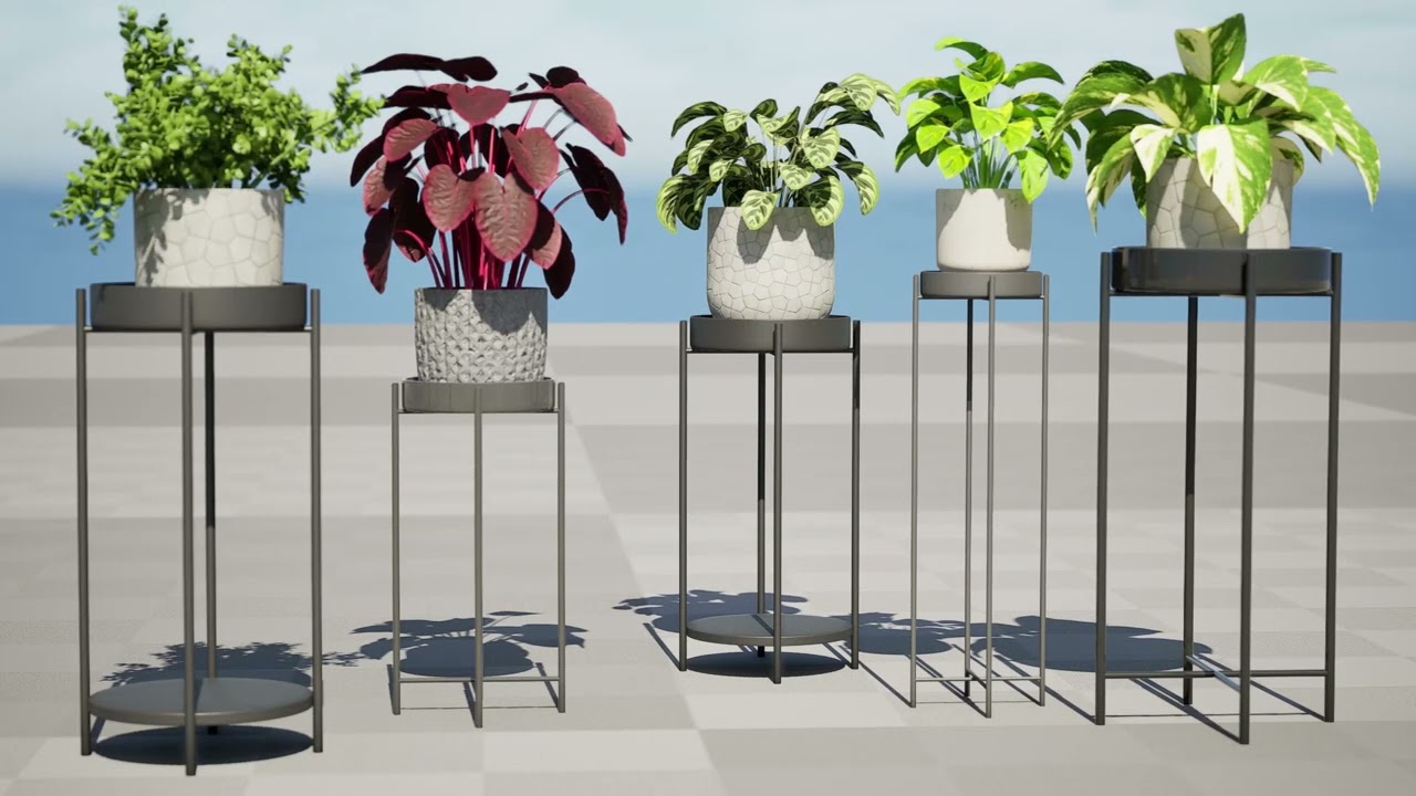 Indoor Plant s 3D Model
