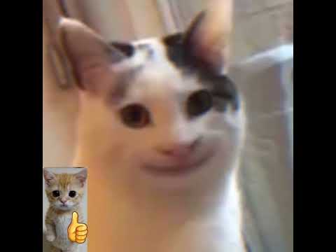 Domyeah - Final Boss