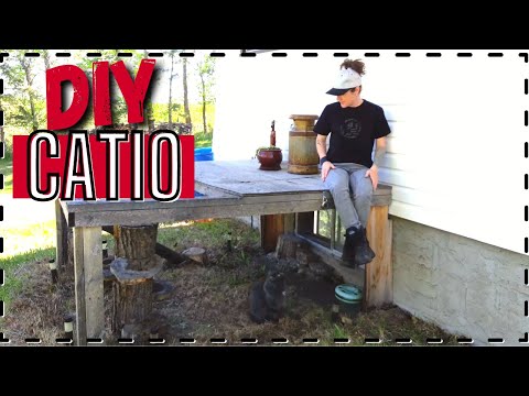 DIY Backyard Catio | Keep cats happy and safe outside!!