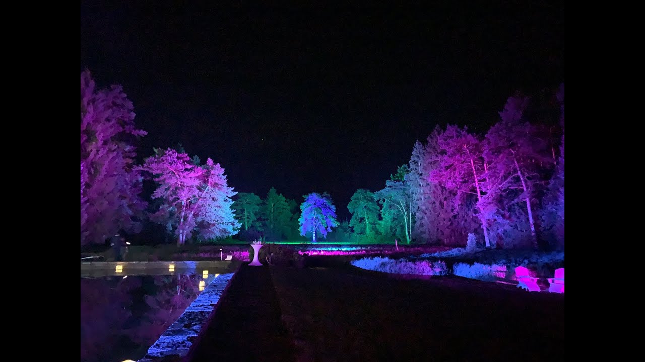 Waldhochzeit in Horstedt