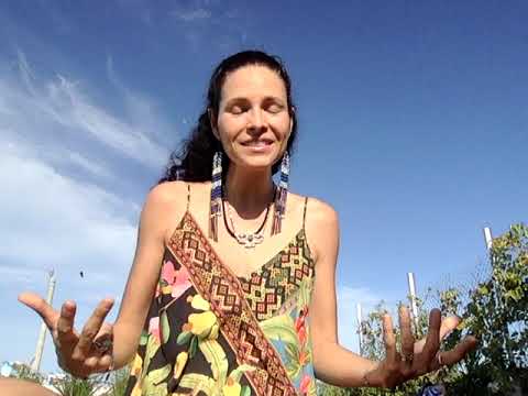 Women's Sacred Moon Time and the Womb