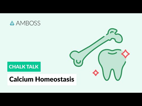 Calcium Homeostasis: Regulation & Maintenance