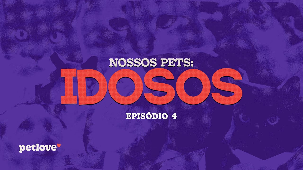 Nossos Pets: Idosos - Episódio 4 | Alimentação