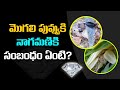 మొగలిపువ్వు మీ పక్కలో ఉంటే పాము ద్వా�