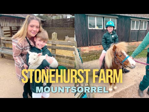 Stonehurst Farm -  Mountsorrel
