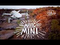 Rivers Of The Desert Mavic Mini Australian Outback