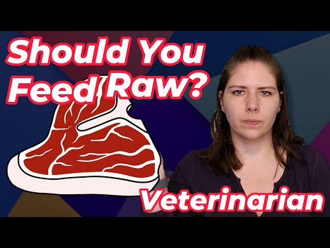 The Truth About Raw Pet Food: Vet's Eye-Opening Discussion (Part IV)