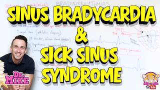 Sinus Bradycardia & Sick Sinus Syndrome Explained | Bradyarrhythmia