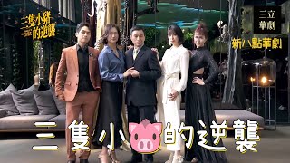 [情報] 《三隻小豬的逆襲》豪門卡司發佈會