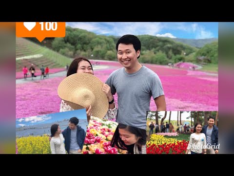 JAPAN | Hitachi Seaside park and Ichikai-machi Shibazakura park on a rainy day ☔️