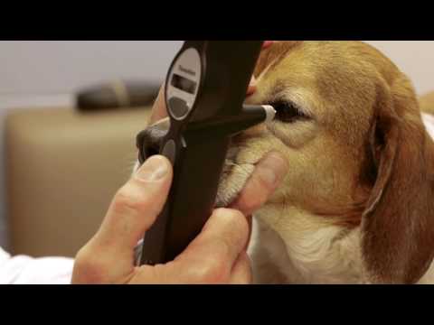 TonoVet Tonometer (J1000) - Canine